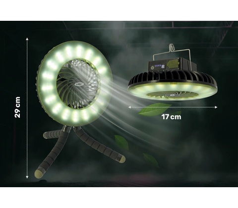 NGT Dynamic Cree
