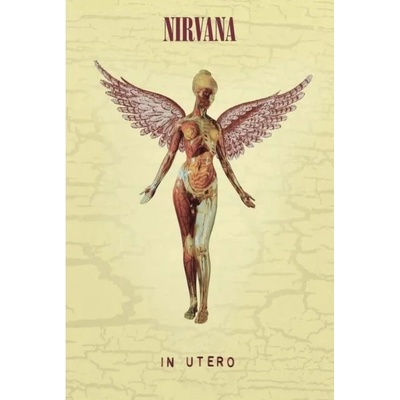 Plagát, Obraz - Nirvana - In Utero, 61 × 91.5 cm
