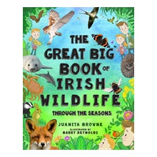 Great Big Book of Irish Wildlife - Through the Seasons Browne Juanita