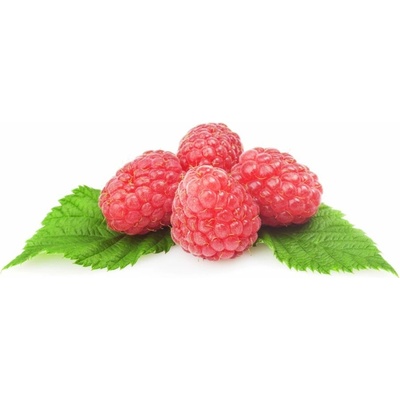 Zeelandia Ovocná náplň Malina 1 kg