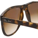 Image 1 of Ray-Ban RB4147 710/51