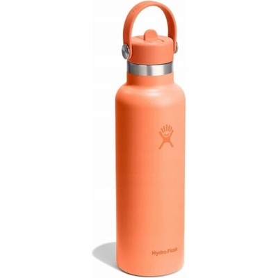 Hydro Flask Termoláhev s brčkem 621 ml Bea