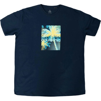 BRILLE Тениска California MAX