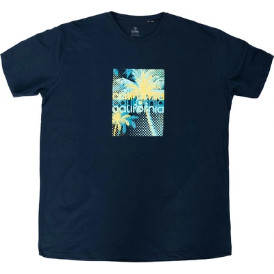 BRILLE Тениска California MAX