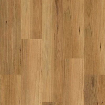 Experto Click 50 SPC Dub Grosseto 1541-15 2,21 m²