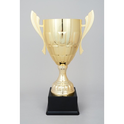 Zlatý sportovní pohár 47 cm