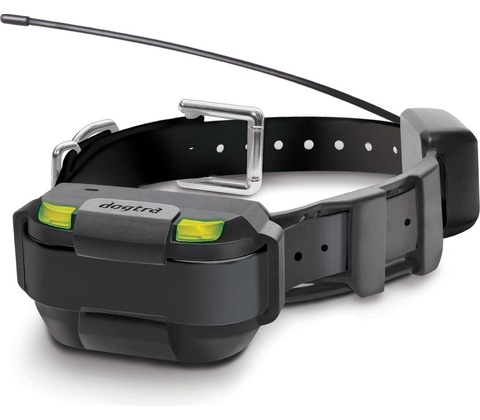 Dogtra Pathfinder 2 Mini