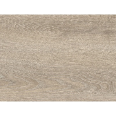 IVC Belgium Logitex Ultimate 55 Elias T47 4 m 1 m²