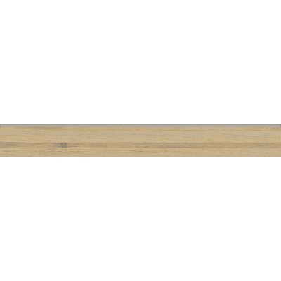 Rako DSASP842 1ks