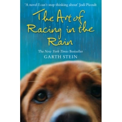 The Art of Racing in the Rain - G. Stein
