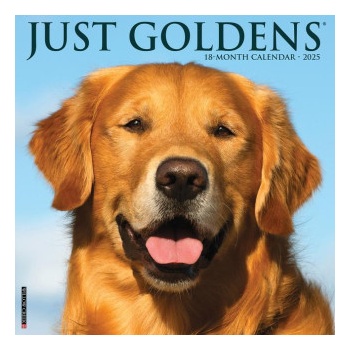 Willow Creek Press Calendars Goldens 2026 12 X 12 Wall Calendar | Willow Creek Press