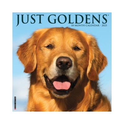 Willow Creek Press Calendars Goldens 2026 12 X 12 Wall Calendar | Willow Creek Press