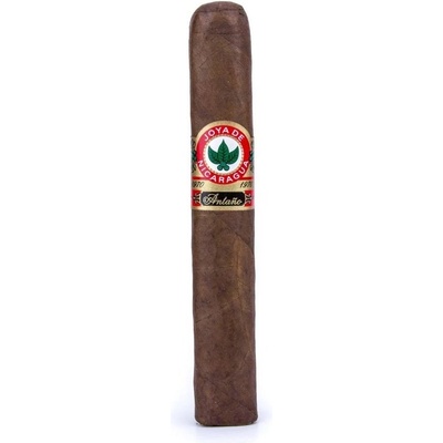 Joya de Nicaragua Antaňo 1970 Robusto Grande 20