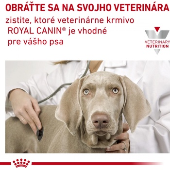 Royal Canin Veterinary Health Nutrition Dog Anallergenic 8 kg
