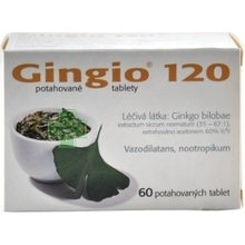 GINGIO POR 120MG TBL FLM 60