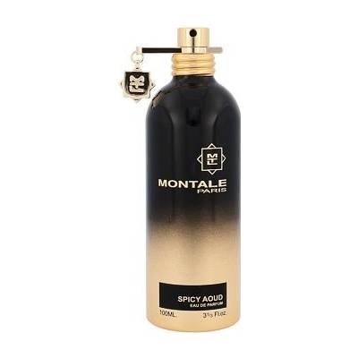 Montale Paris Spicy Aoud parfumovaná voda unisex 100 ml Tester