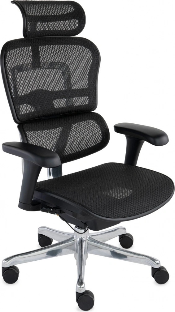 Grospol Ergohuman 2 Basic BS