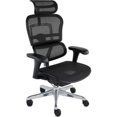 Grospol Ergohuman 2 Basic BS