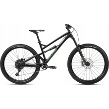 Dartmoor Blackbird Intro 2023