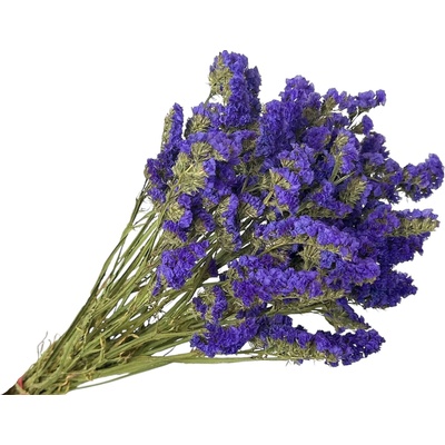 Sušená limonka - Statice Limonium 100g - tmavé fialové