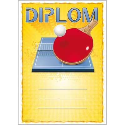 DS05c Diplom stolní tenis