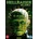 Hellraiser 8: Hellworld DVD