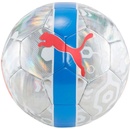 Puma CUP