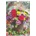 Blumen 2027