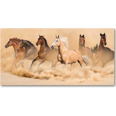 Foto obraz sklenený horizontálny kone púšť 100x50 cm