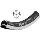 DT Swiss R 460