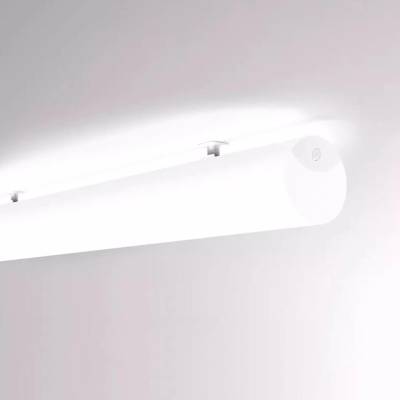 Molto Luce 720-003341029550