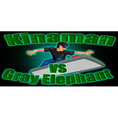 Valkyrie Initiative Kinaman vs Gray Elephant (PC)