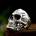 NNM пръстен Retro Pattern Skull - SS8-766R