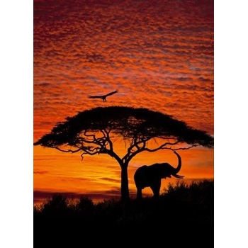 Komar 4-501 Fototapeta African Sunset 194 x 270 cm