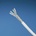 Panduit Lan кабел panduit - psl7004wh-hed (psl7004wh-hed)
