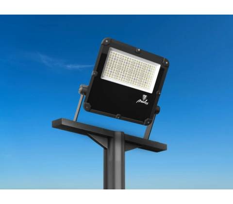 Nedes LF4025N