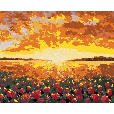 zuty Malování Podle Čísel Květinové Pole Ve Francii 80 x 100 Cm Plátno 8596530107385