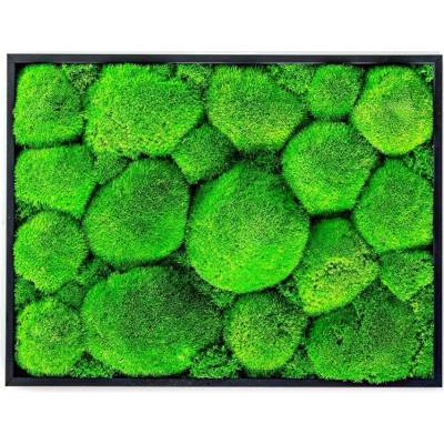 Gardners Mechový obraz 30x40 cm z kopečkového mechu, černá