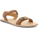 Froddo Flexy Buckle Brown