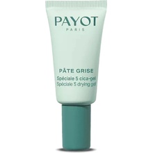 Payot Pâte Grise Spéciale 5 Drying Gel 15 ml