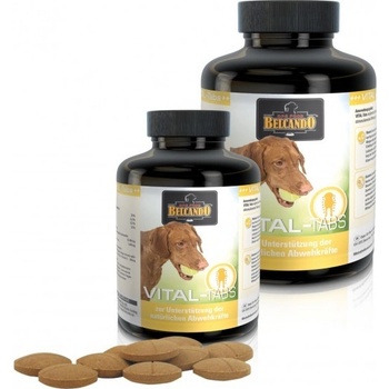 Belcando Vital 60 tbl