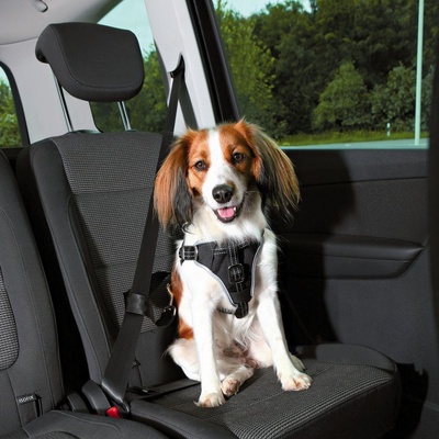 Trixie Szelki samochodowe Dog Protect S-M 40-55 cm / 20 mm