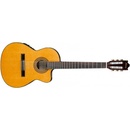 Elektroakustické gitary Ibanez GA5TCE