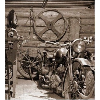 DIMEX ART s. r. o Флизелинов фототапет древен гараж 225 x 250 см