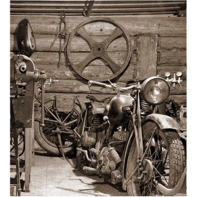 DIMEX ART Флизелинов фототапет древен гараж 225 x 250 см