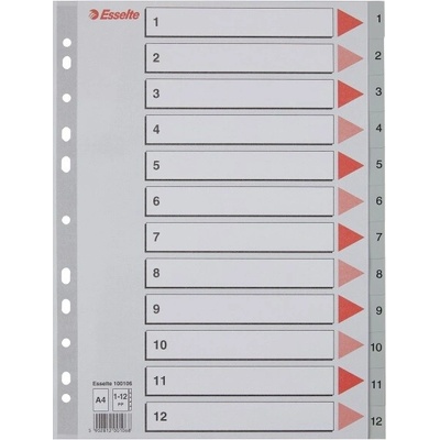 Registr ESSELTE A/4, plast, 1–12, 100106