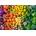 Castorland - Puzzle Rainbow of vitamins - 1 500 piese