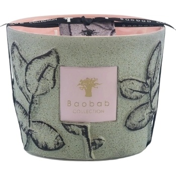 Baobab Collection Folia Maquis Ароматна свещ, 10 см (MAX10FMAQ)