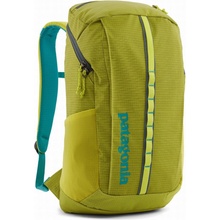 Patagonia Black Hole Pack 25l zelená