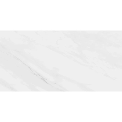 EBS Lenci 60 x 120 cm blanco lesklé 1,44m²